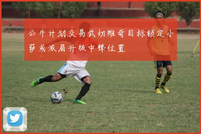 公牛计划交易武切维奇目标锁定小萨或浓眉升级中锋位置