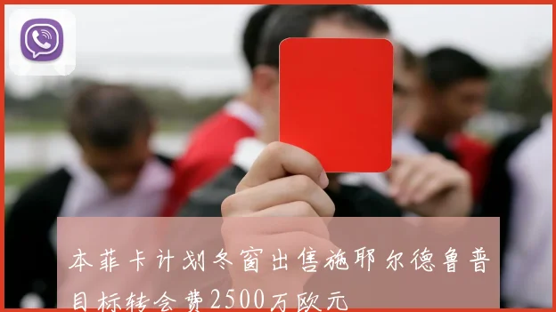本菲卡计划冬窗出售施耶尔德鲁普目标转会费2500万欧元