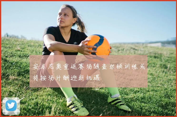 安东尼奥重返赛场随查尔顿训练或将按场计酬迎新机遇