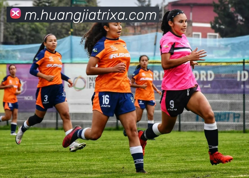 皇家体育发展历程